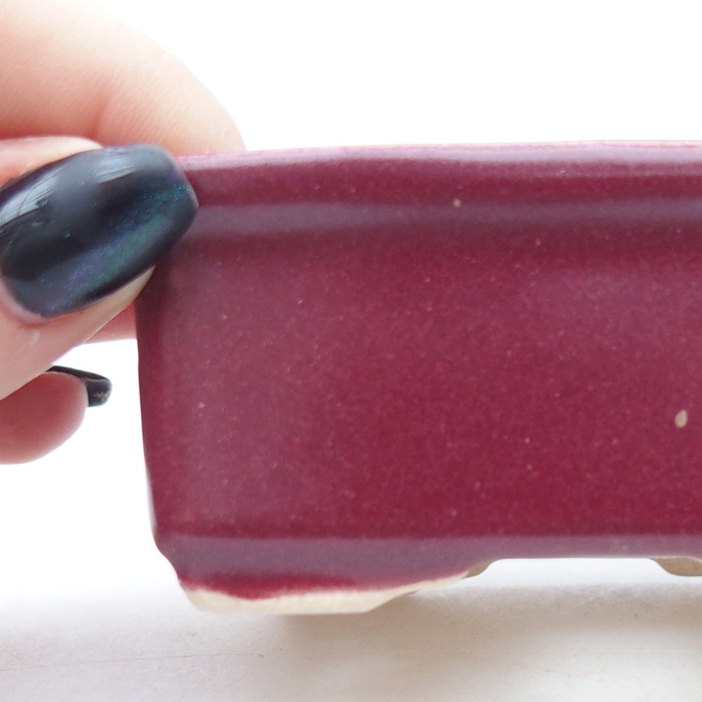 Mini bonsaischaal 8 x 6,5 x 3,5 cm, bordeauxrood