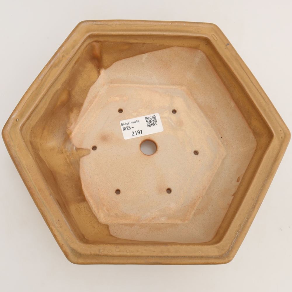 Keramische bonsaipot 24 x 21,5 x 7,5 cm, kleur: beige