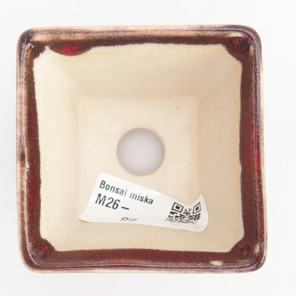 Mini bonsaischaal 6 x 6 x 5 cm, kleur rood