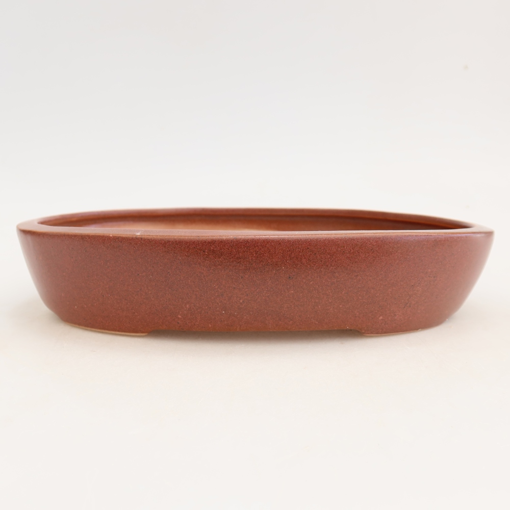 Keramische bonsaipot 22 x 17 x 4 cm, kleur bordeauxrood
