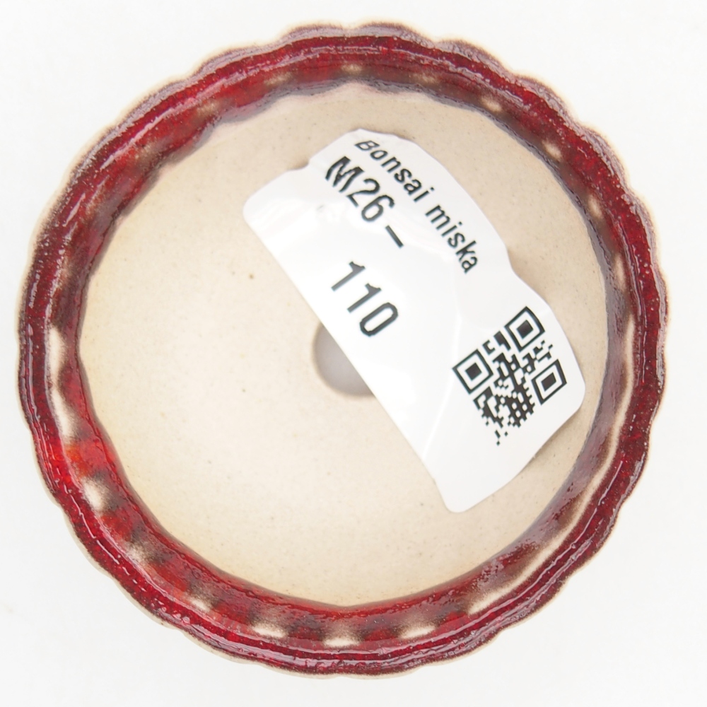 Mini bonsaischaal 5,5 x 5,5 x 2,5 cm, kleur rood