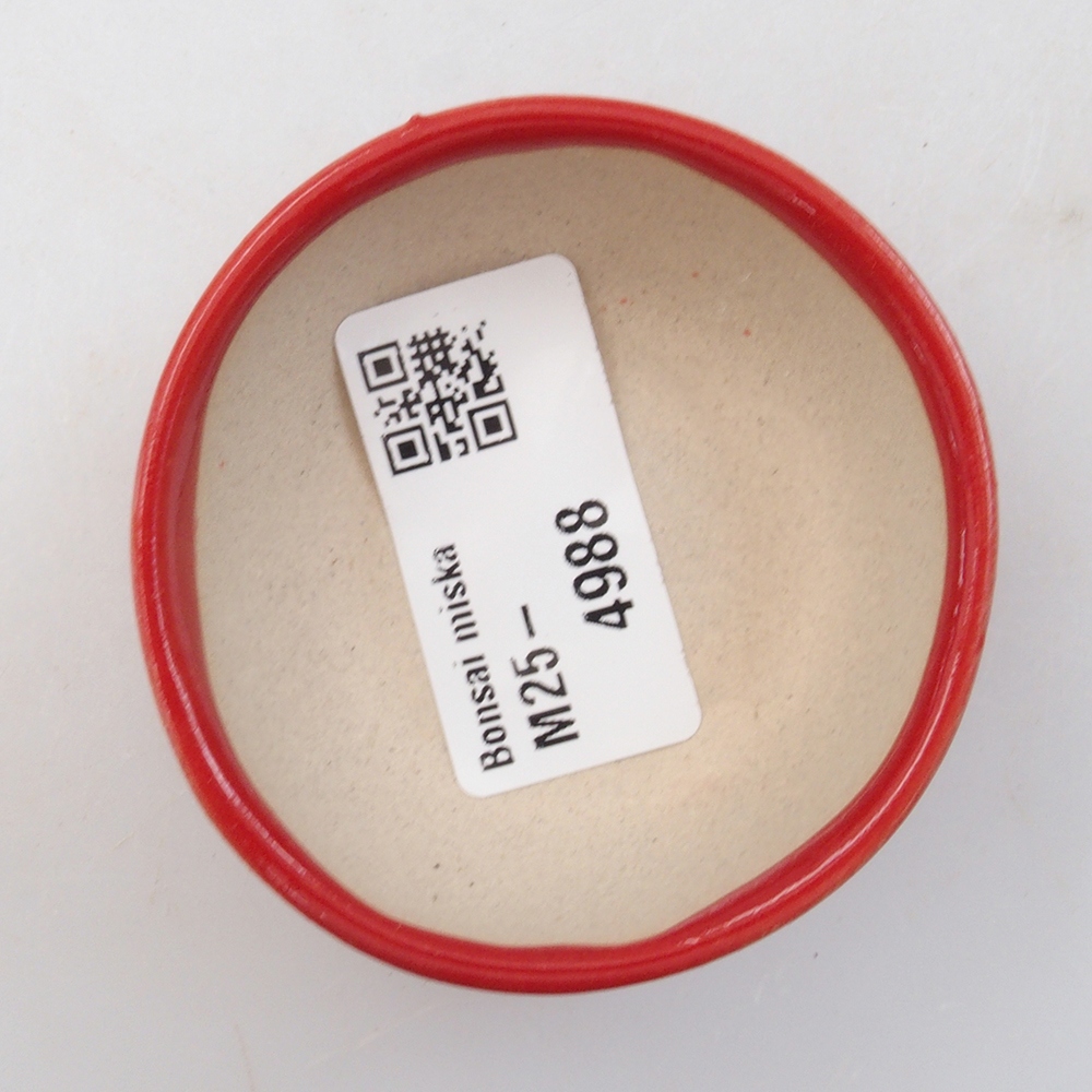 Mini bonsaischaal 6 x 6 x 2,5 cm, kleur rood