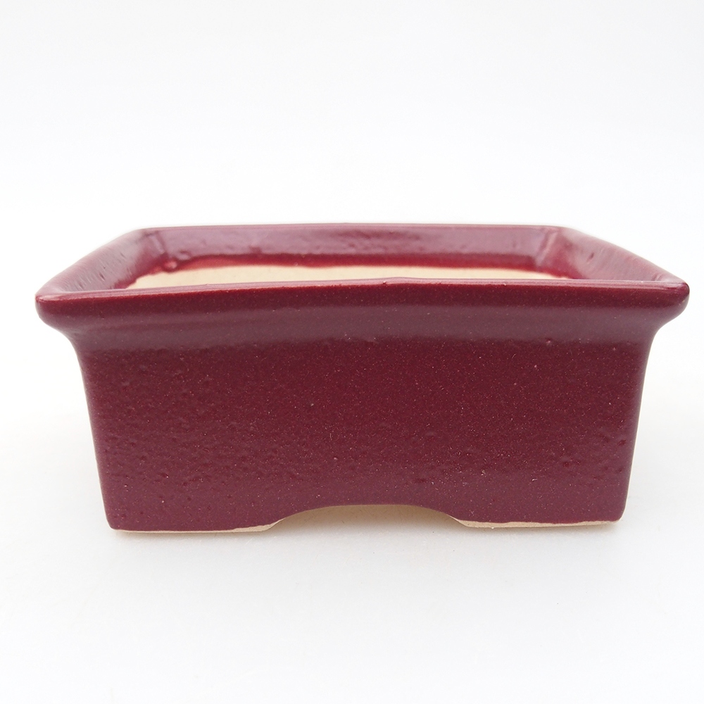 Mini bonsaischaal 9 x 7 x 4 cm, bordeauxrood