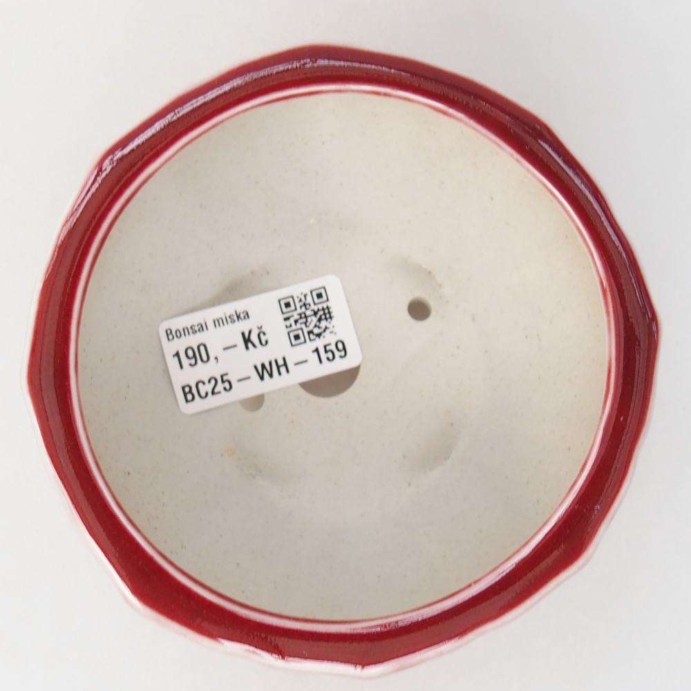 Bonsaischaal van keramiek 11 x 11 x 5,5 cm, kleur rood