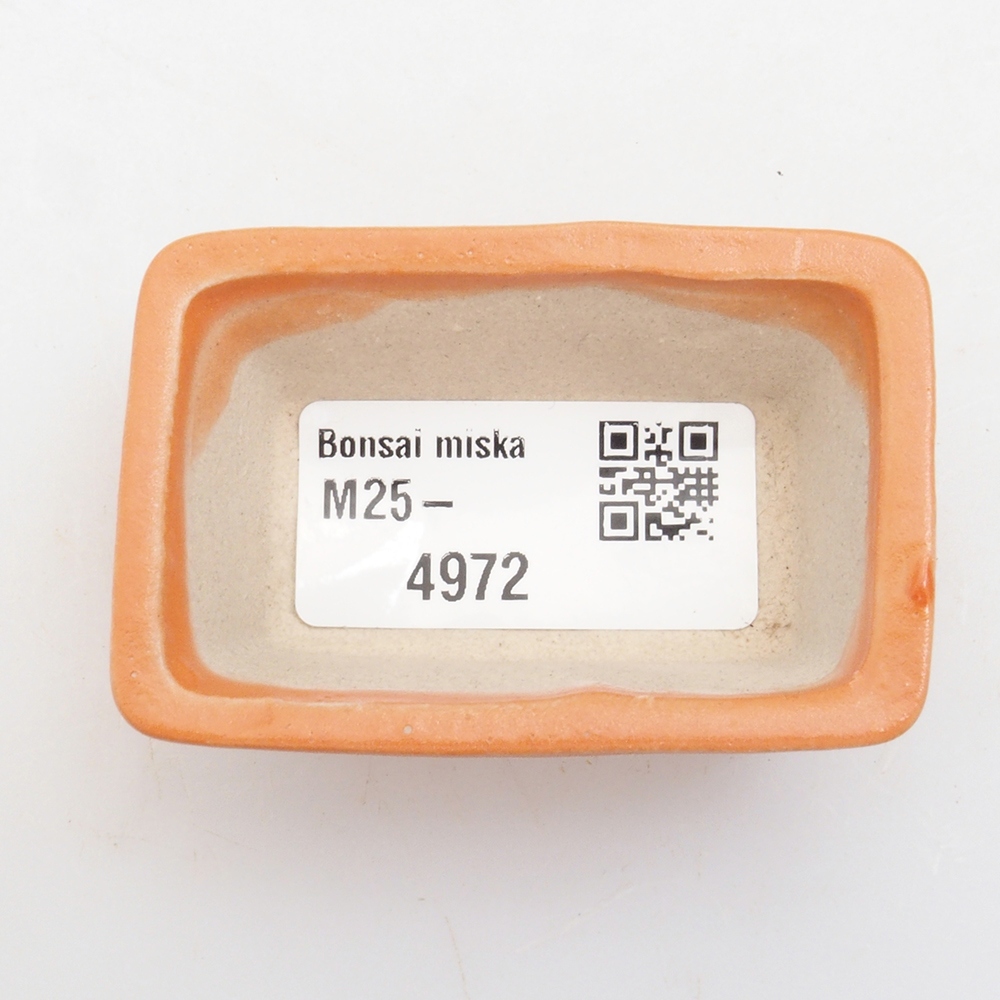 Mini bonsaischaal 6 x 4 x 2,5 cm, oranje