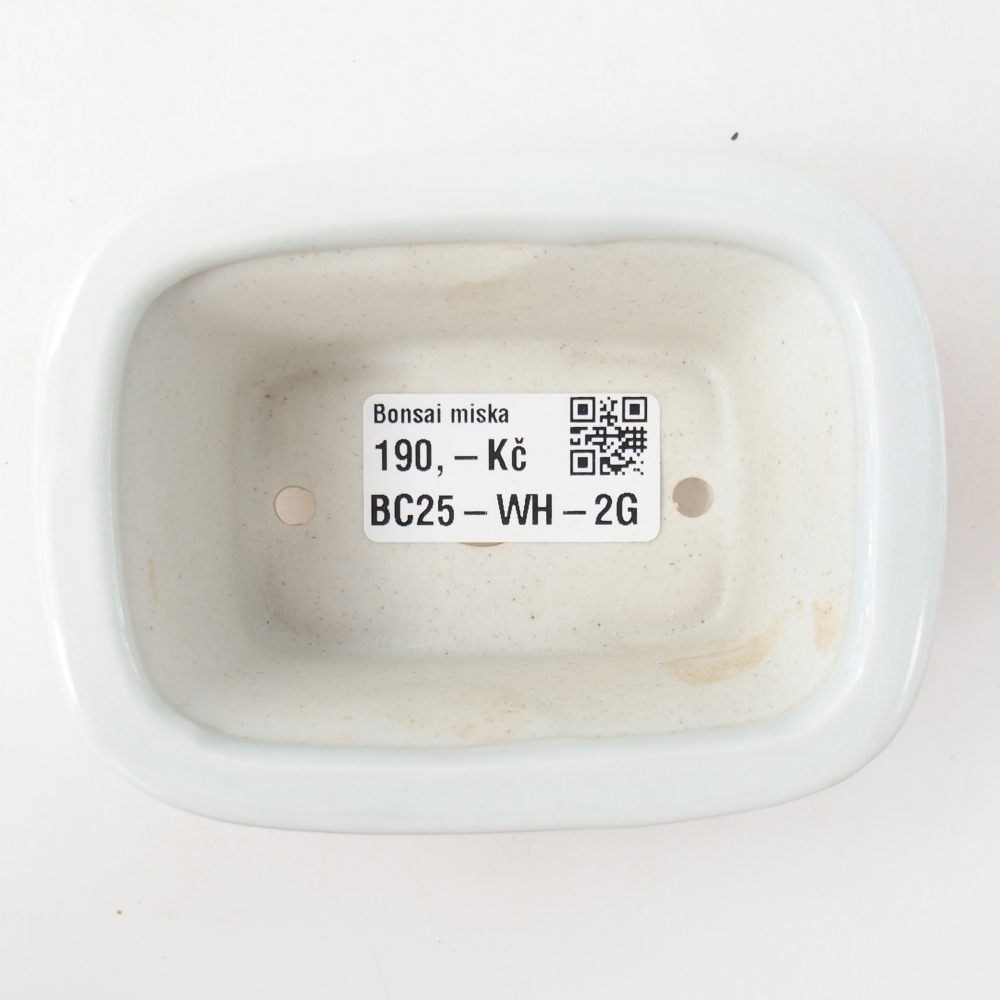Mini bonsaischaal 10 x 7,5 x 4 cm, kleur wit