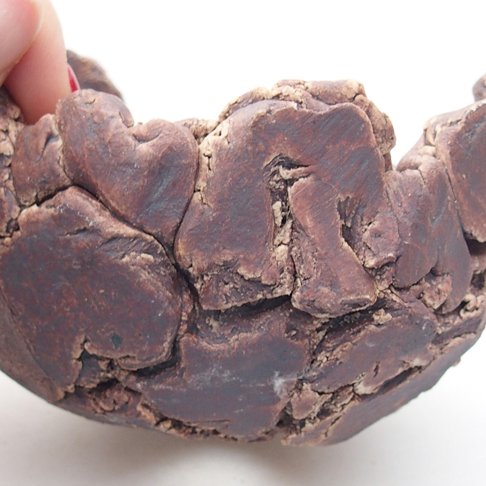 Keramisch Schelp 9 x 9 x 6 cm , kleur bruin