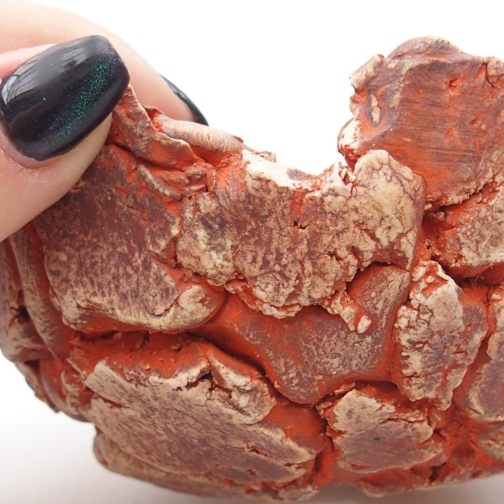 Keramisch Schelp 11 x 11 x 6 cm , kleur oranje