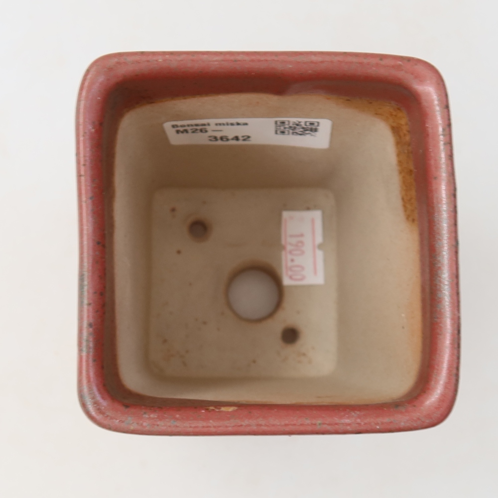 Keramische bonsaipot 7,5 x 7,5 x 10,5 cm, kleur: roze