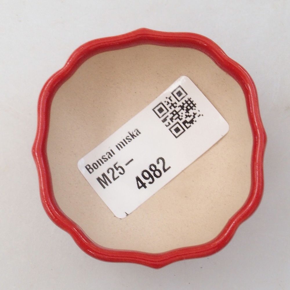 Mini bonsaischaal 6 x 5,5 x 2,5 cm, kleur rood