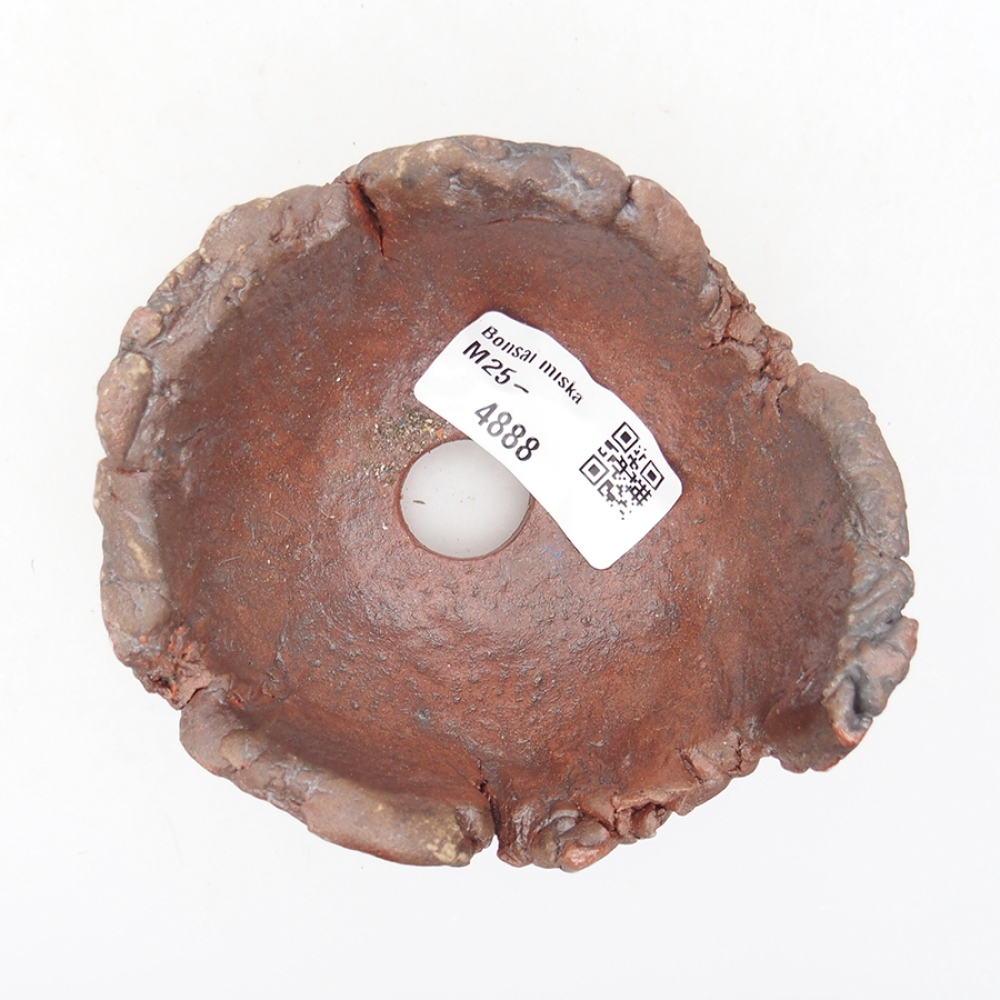 Keramisch Schelp 10 x 9 x 7 cm , kleur bruin