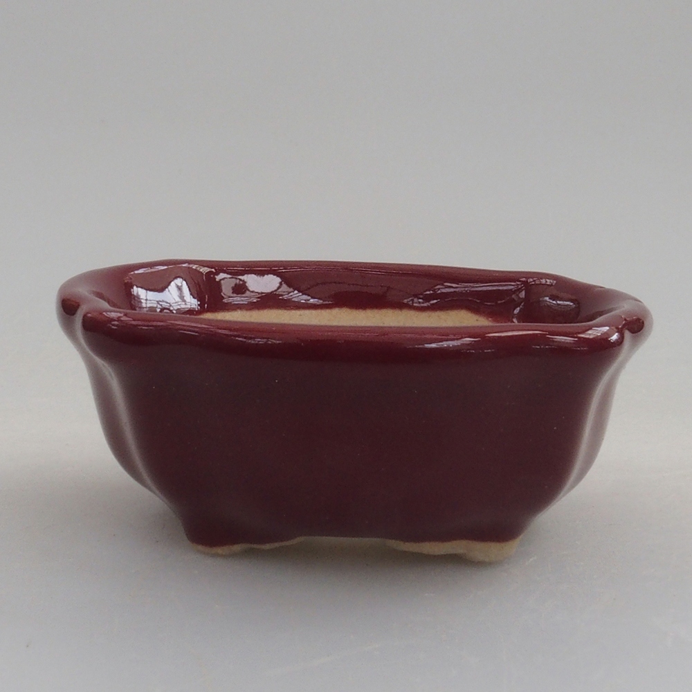 Mini bonsaischaal 6 x 6 x 2,5 cm, bordeauxrood