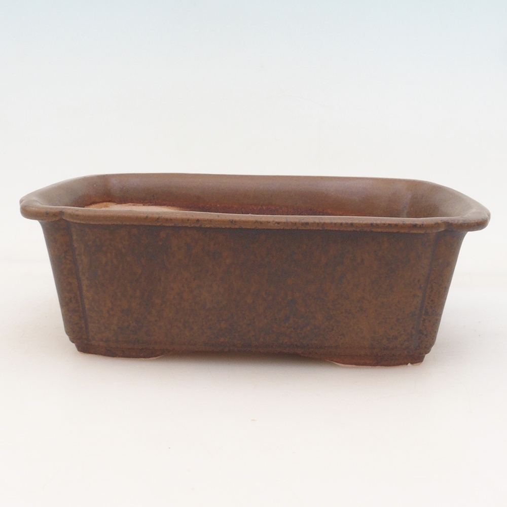Bonsaischaal H50 - 17 x 12,5 x 5,5 cm - bruin