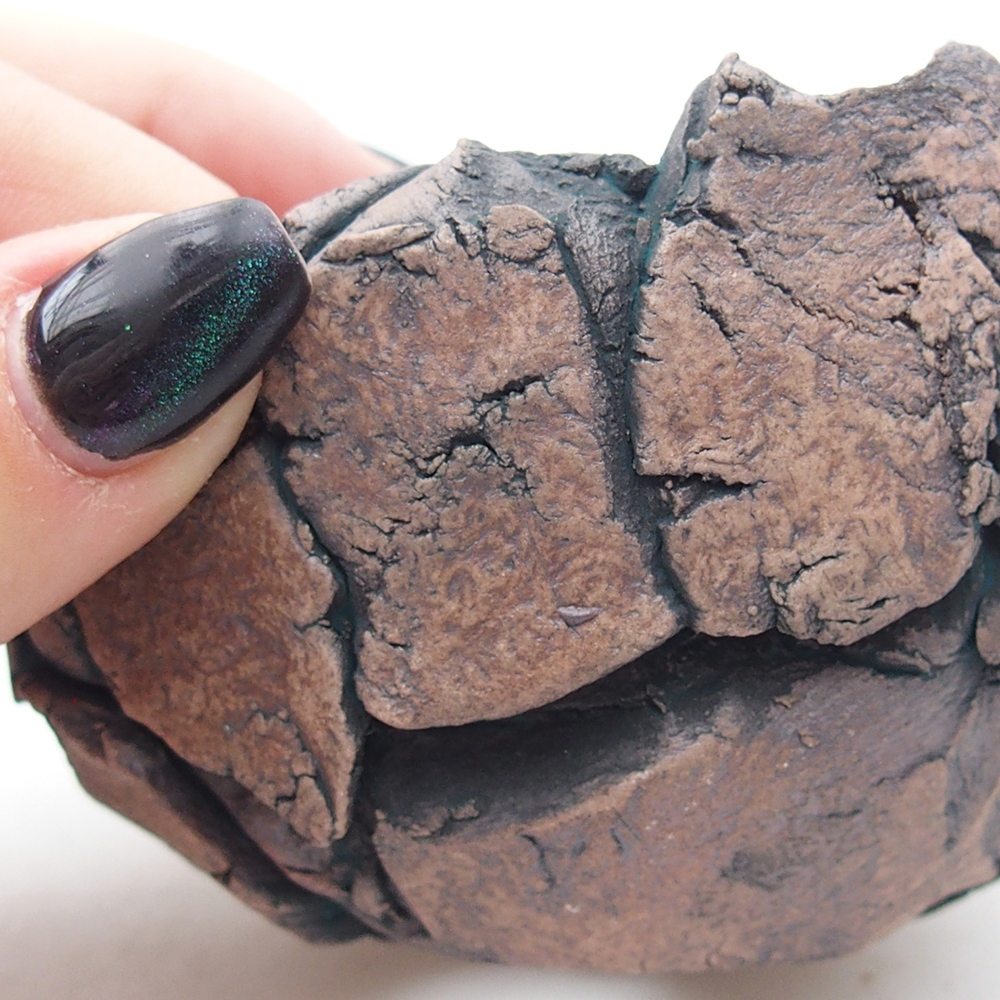 Keramisch Schelp 9 x 8,5 x 6 cm , kleur groen