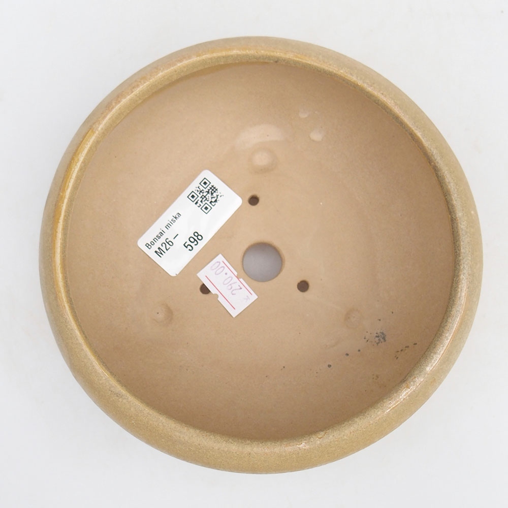 Bonsaischaal van keramiek 14 x 14 x 6,5 cm, kleur beige