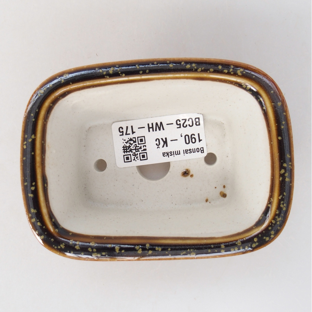 Mini bonsaischaal 10 x 7,5 x 4 cm, geel