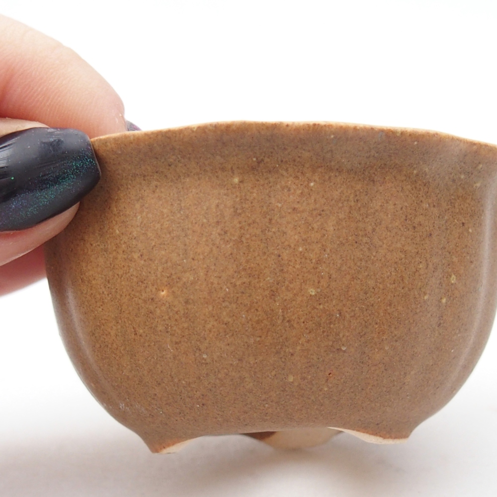 Mini bonsaischaal 7,5 x 7,5 x 3,5 cm, bruin