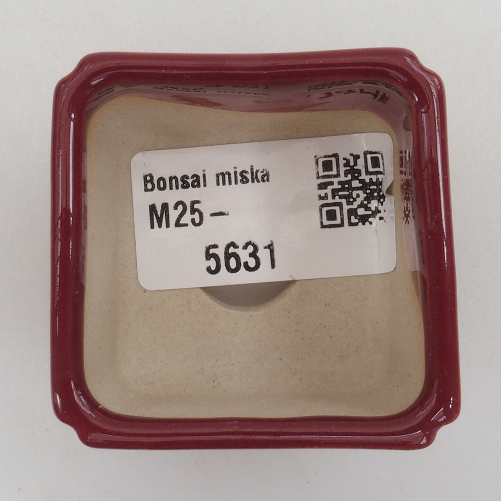 Mini bonsaischaal 4,5 x 4,5 x 3 cm, bordeauxrood