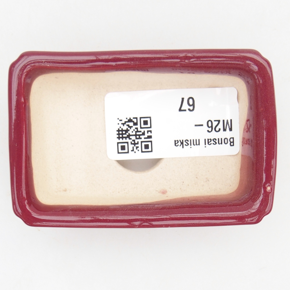 Mini bonsaischaal 7,5 x 5 x 2 cm, bordeauxrood