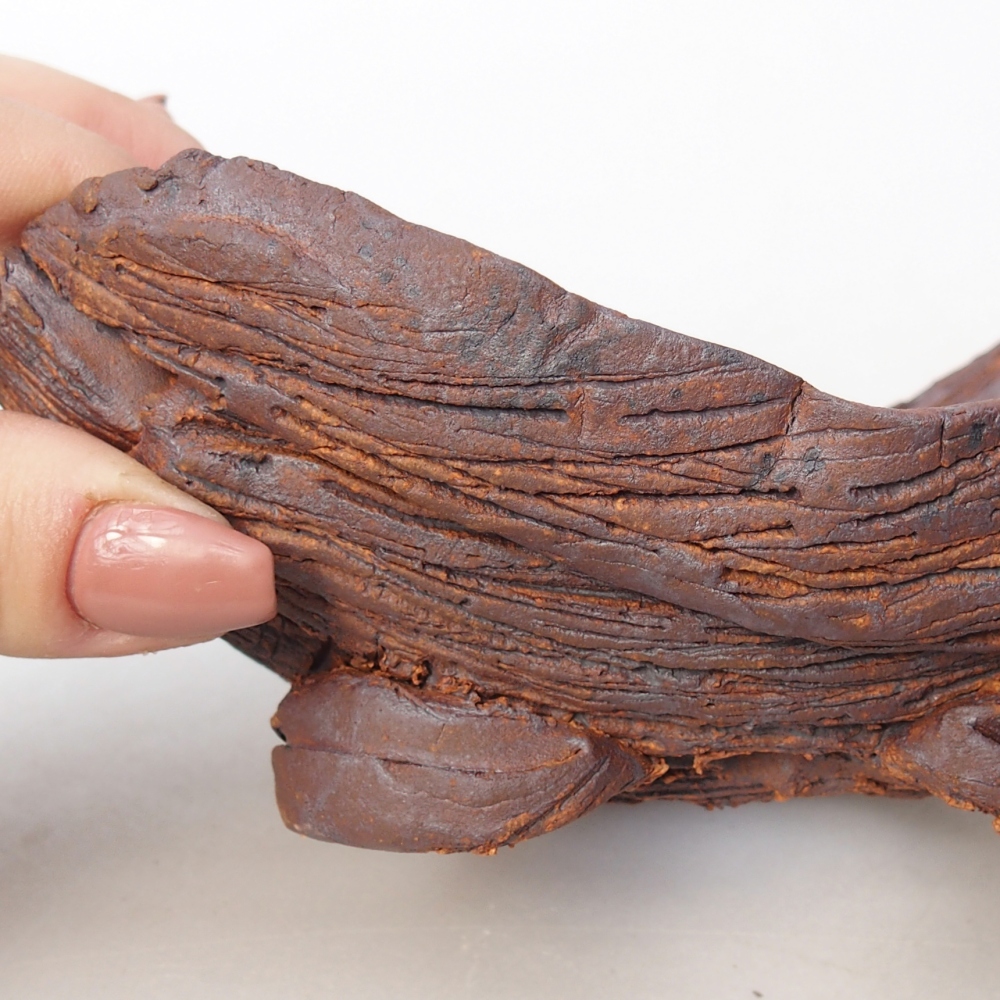 Keramisch Schelp 16 x 10,5 x 8,5 cm , kleur bruin