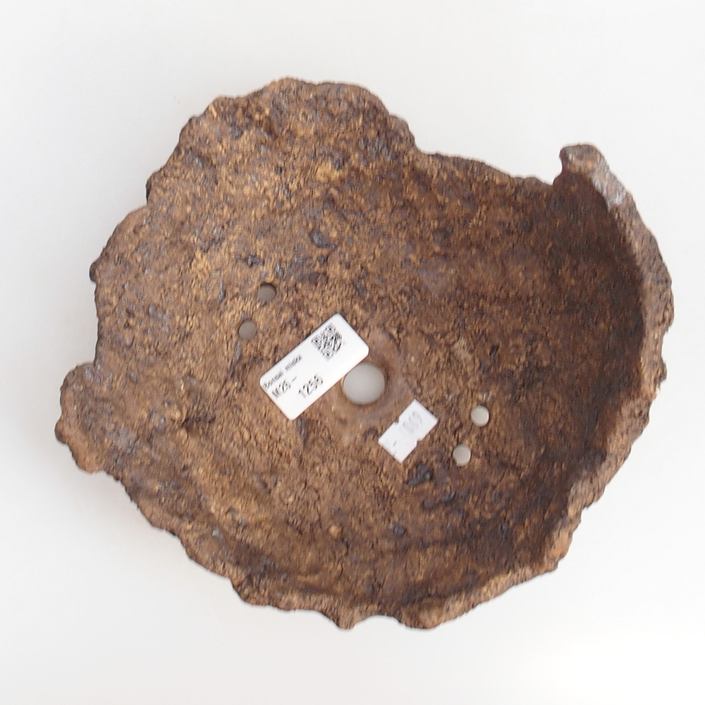 Keramisch Schelp 18 x 18 x 12 cm , kleur bruin