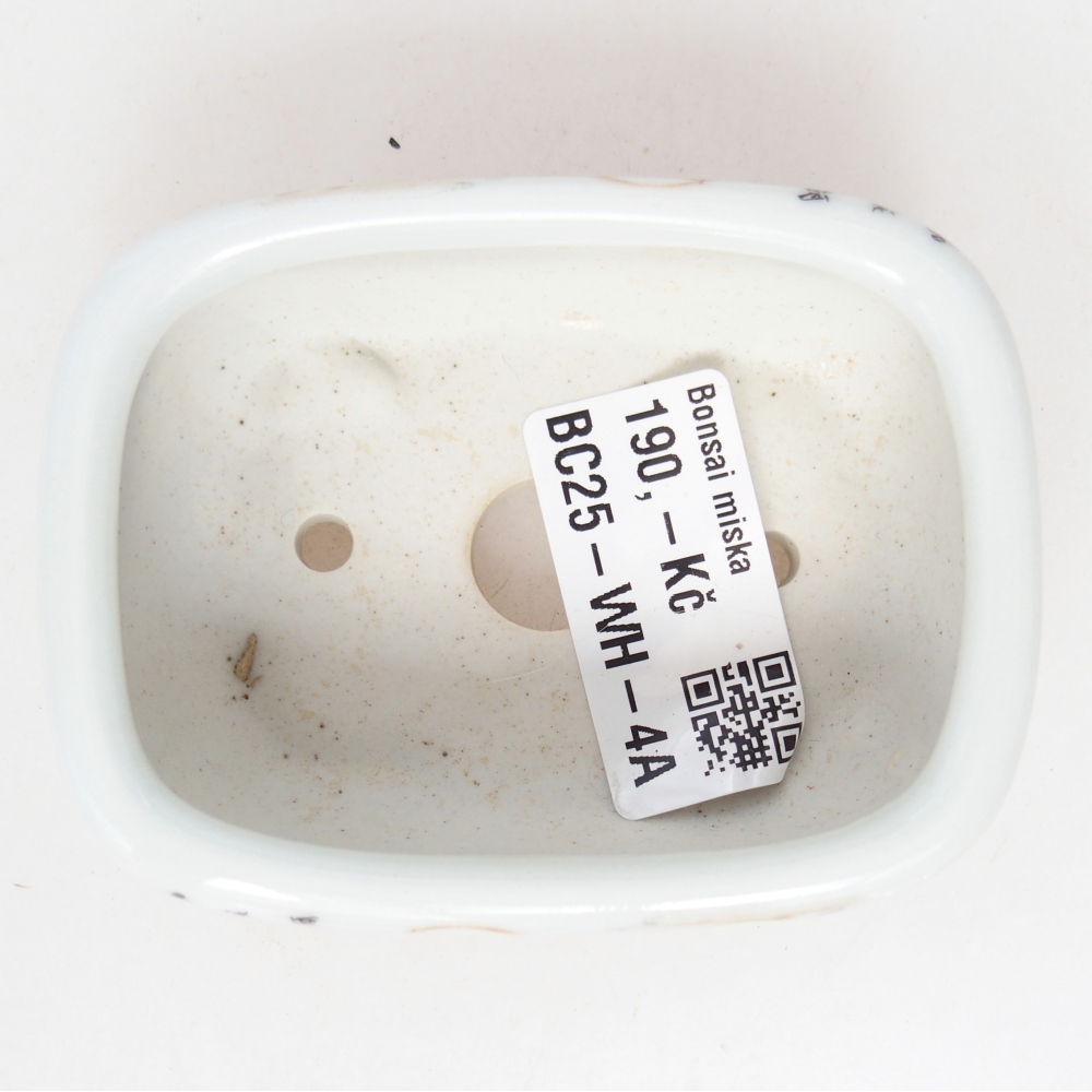 Mini bonsaischaal 8 x 6 x 3 cm, wit