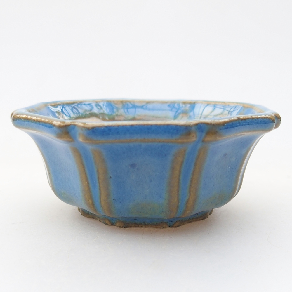 Mini bonsaischaal 6 x 6 x 2,5 cm, kleur blauw