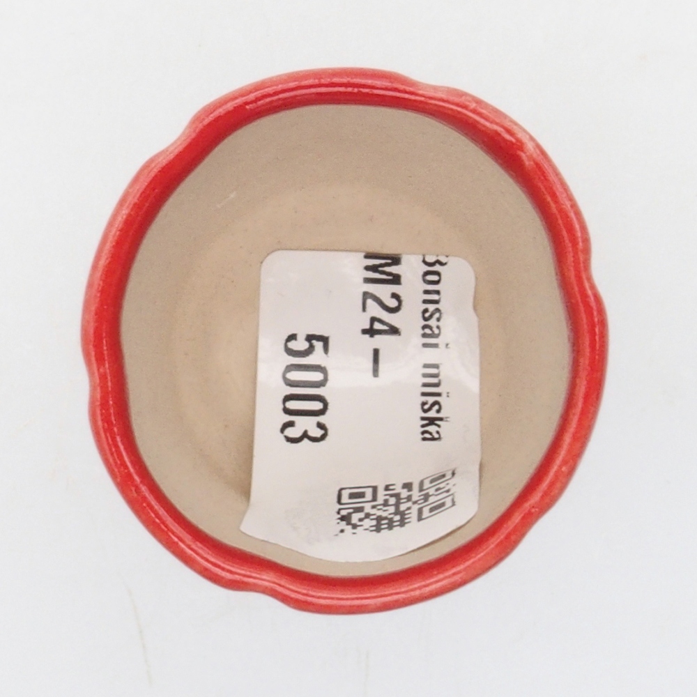Mini bonsaischaal 3 x 3 x 5,5 cm, kleur rood