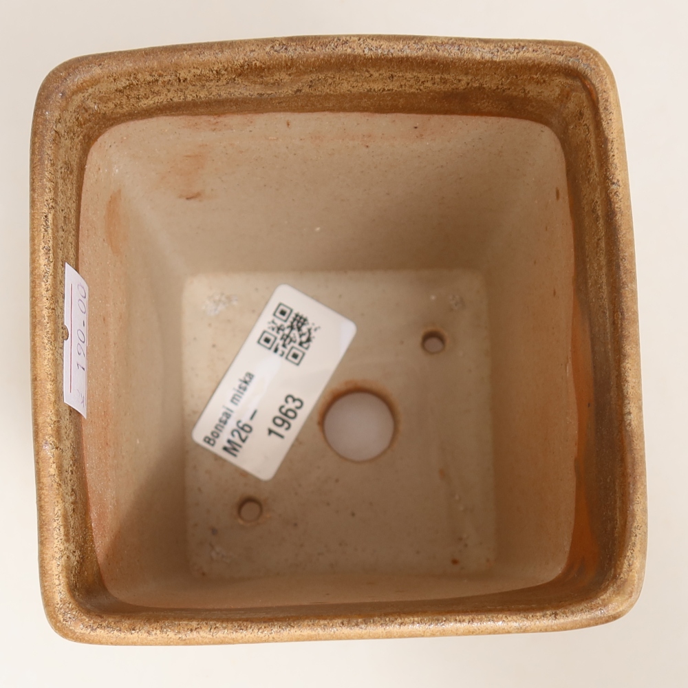 Keramische bonsaipot 9 x 9 x 11 cm, kleur: beige