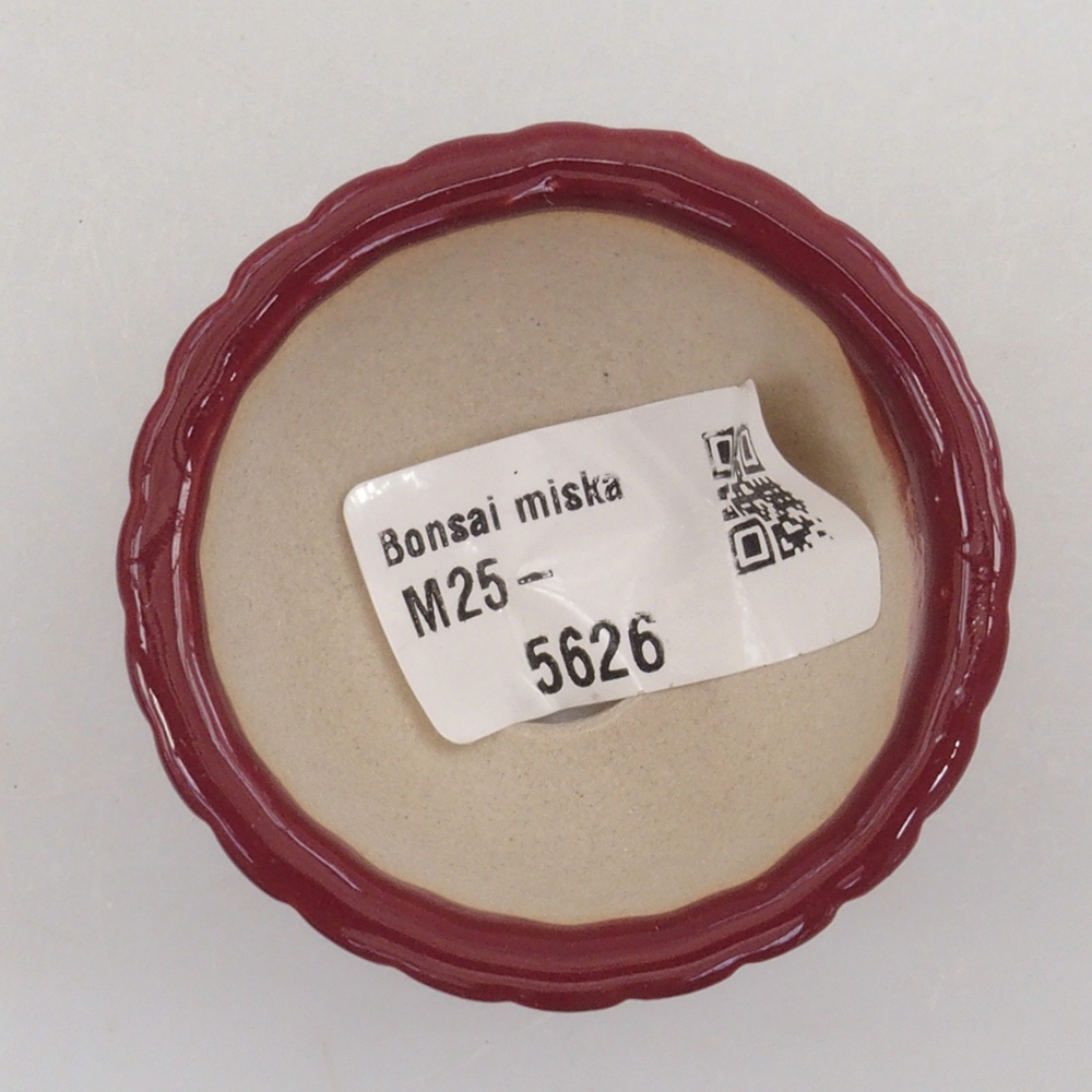 Mini bonsaischaal 5 x 5 x 2,5 cm, kleur bordeauxrood