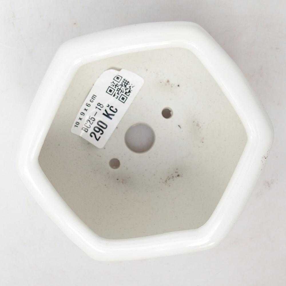 Bonsaischaal van keramiek 10 x 9 x 6 cm, kleur wit