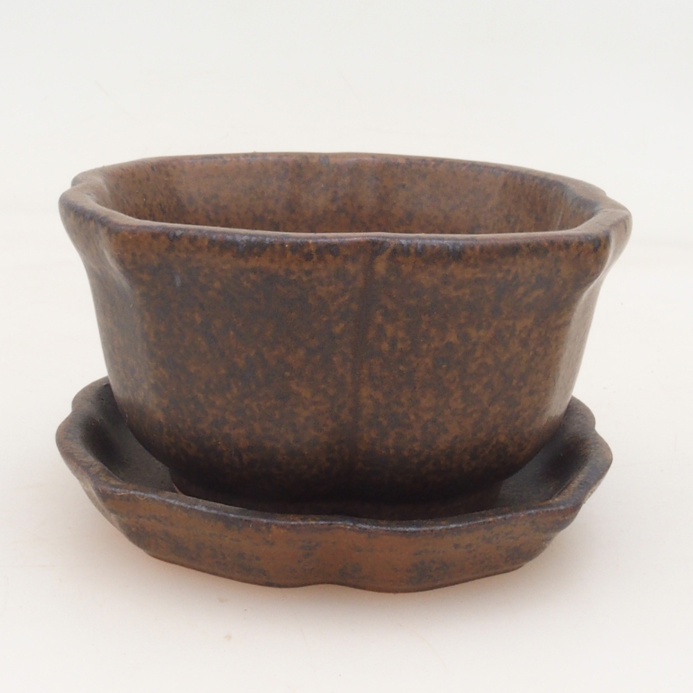 Bonsai kom + schotel H95 - bruin