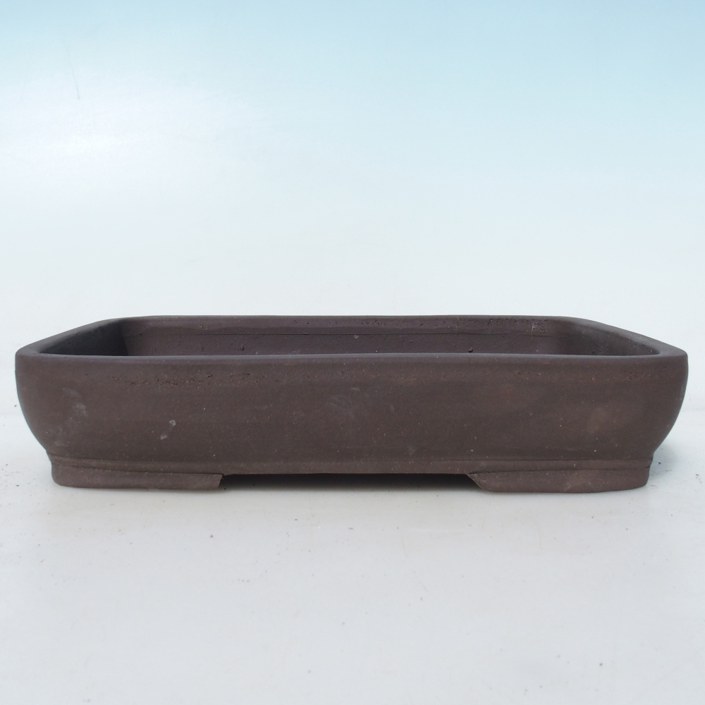 Bonsaischaal 25,5 x 17,5 x 5 cm berken bruin