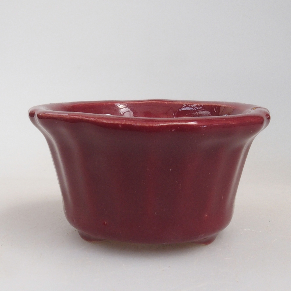 Mini bonsaischaal 5 x 5 x 2,5 cm, kleur bordeauxrood