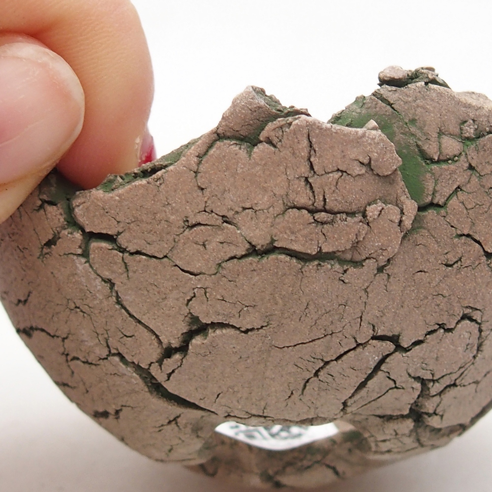 Keramische schelp 7 x 7 x 4 cm , kleur groen