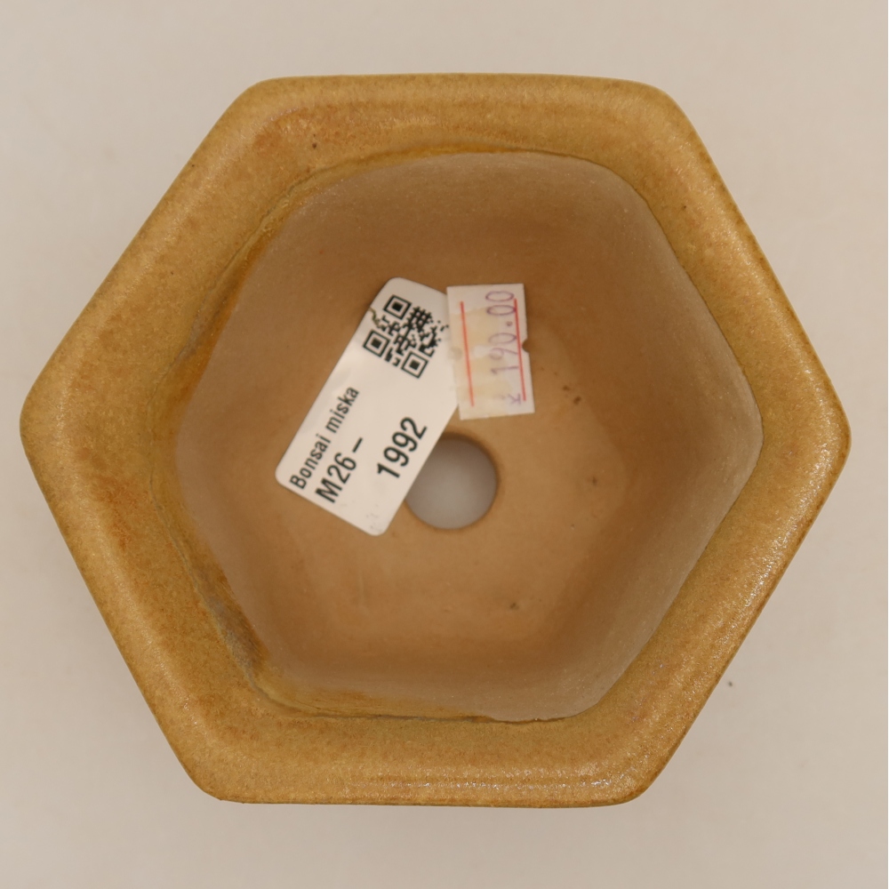 Keramische bonsaipot 10,5 x 9,5 x 5,5 cm, kleur beige