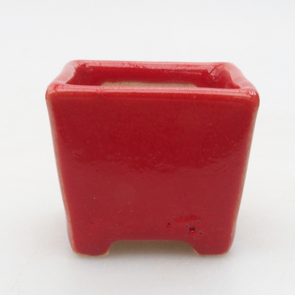 Mini bonsaischaal 3,5 x 3,5 x 3 cm, kleur rood