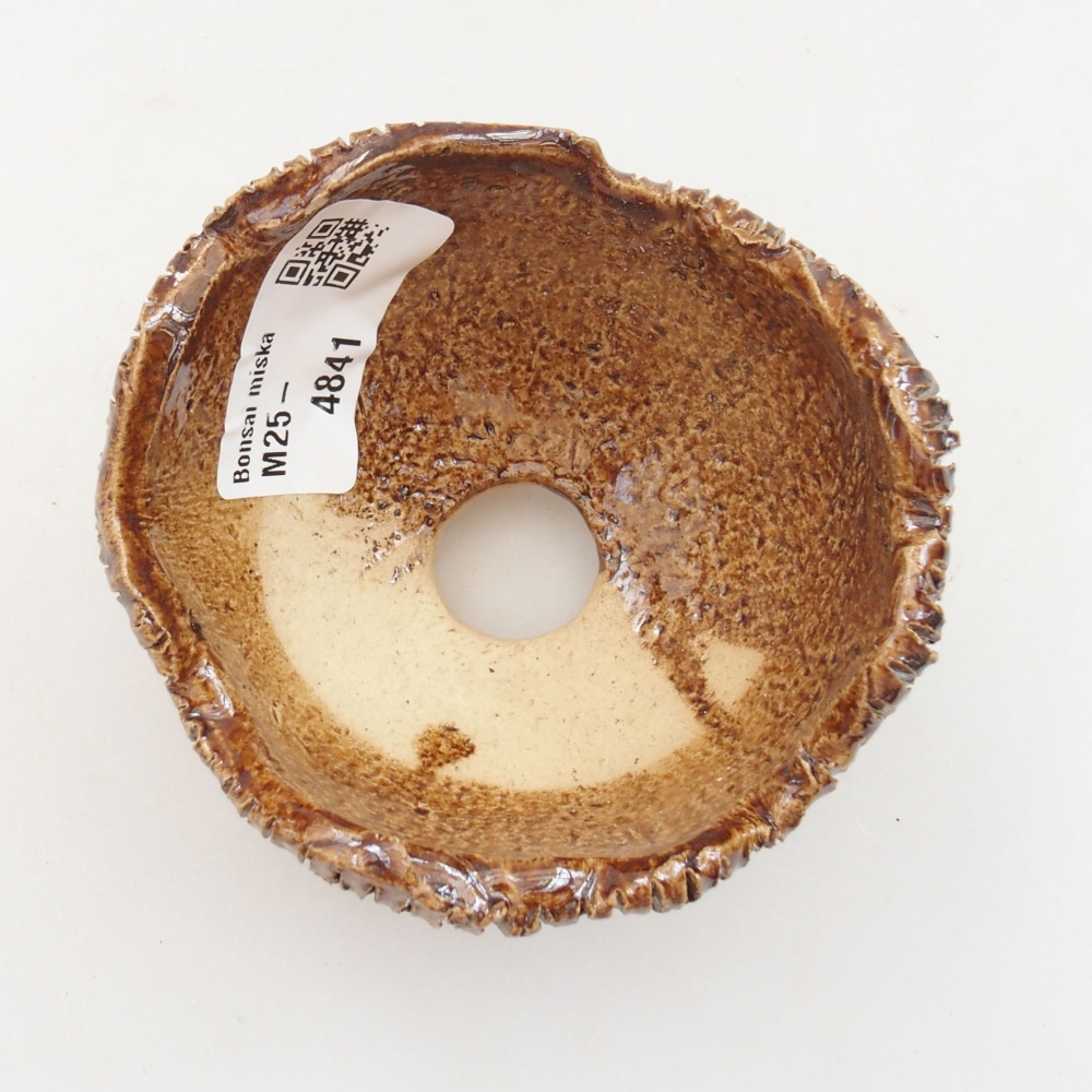 Keramisch Schelp 8 x 7,5 x 6 cm , kleur bruin