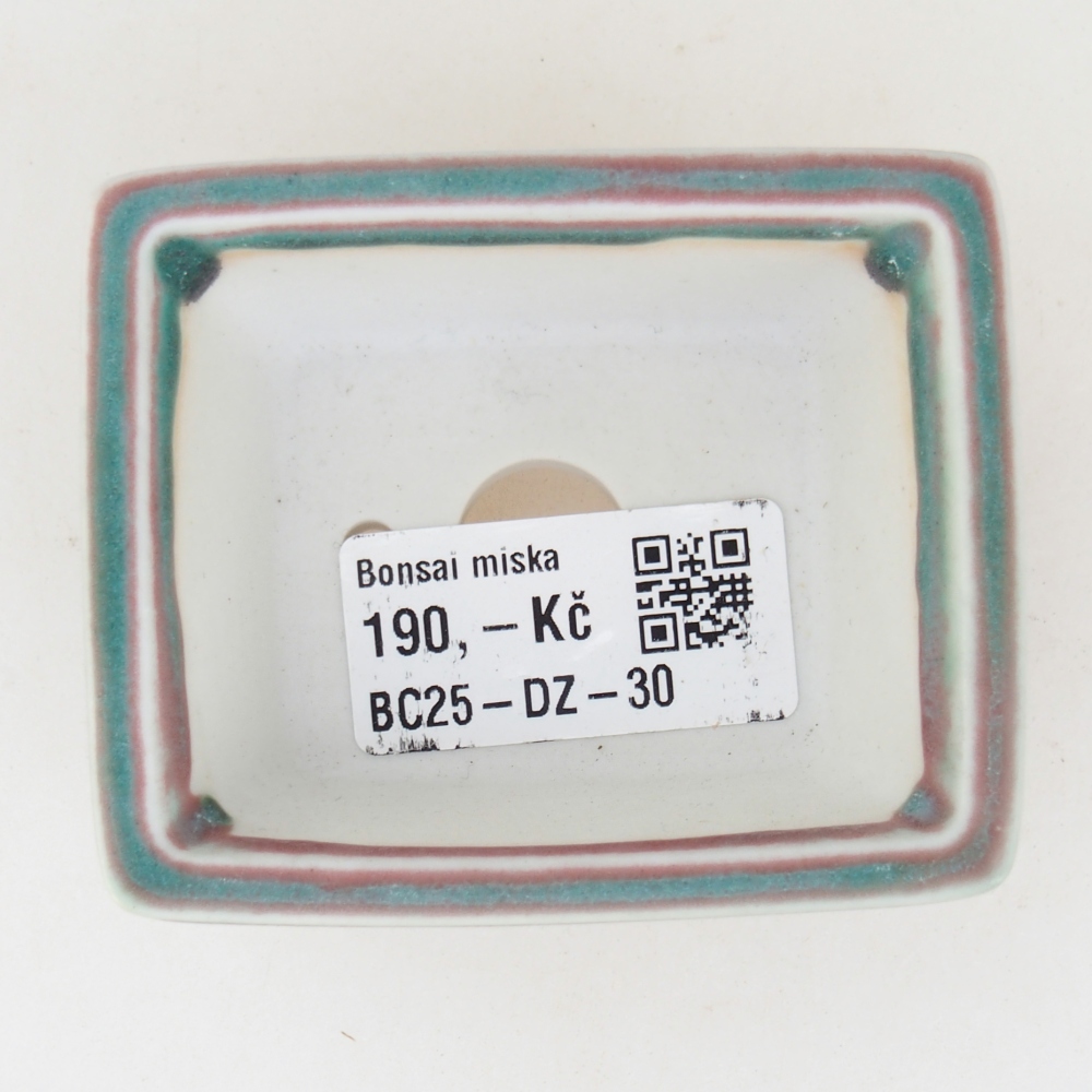 Mini bonsaischaal 7,5 x 6 x 3 cm, groen