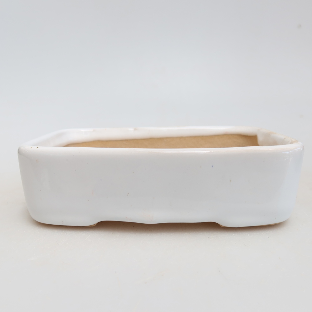 Keramische bonsaipot 13 x 9,5 x 3,5 cm, kleur: wit