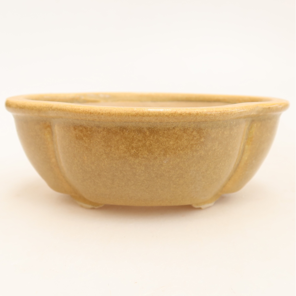 Keramische bonsaipot 12,5 x 10,5 x 4,5 cm, kleur: beige