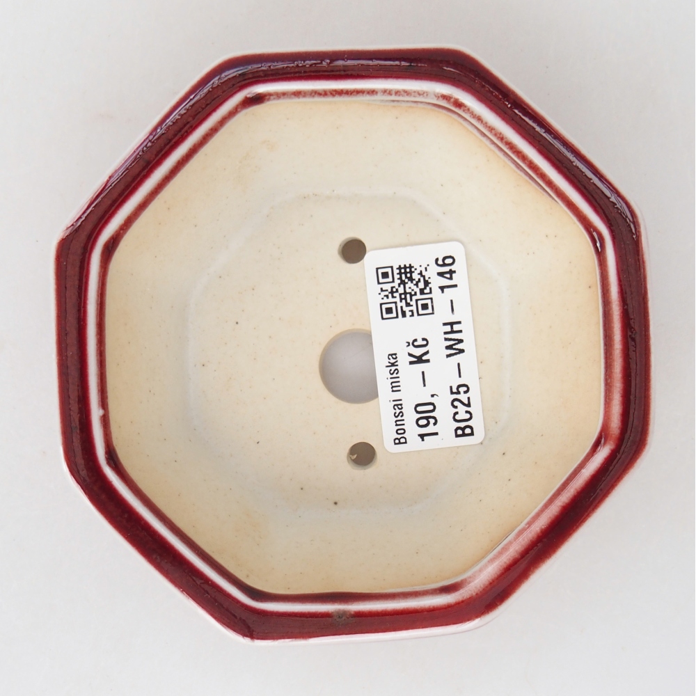 Mini bonsaischaal 11 x 10 x 3,5 cm, kleur rood