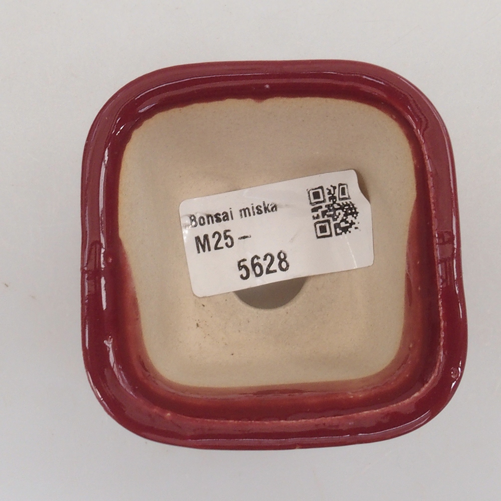 Mini bonsaischaal 6 x 6 x 4,5 cm, bordeauxrood
