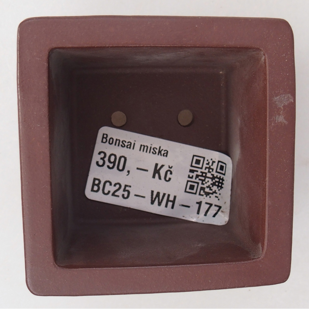 Mini bonsaischaal 6 x 6 x 4,5 cm, bruin