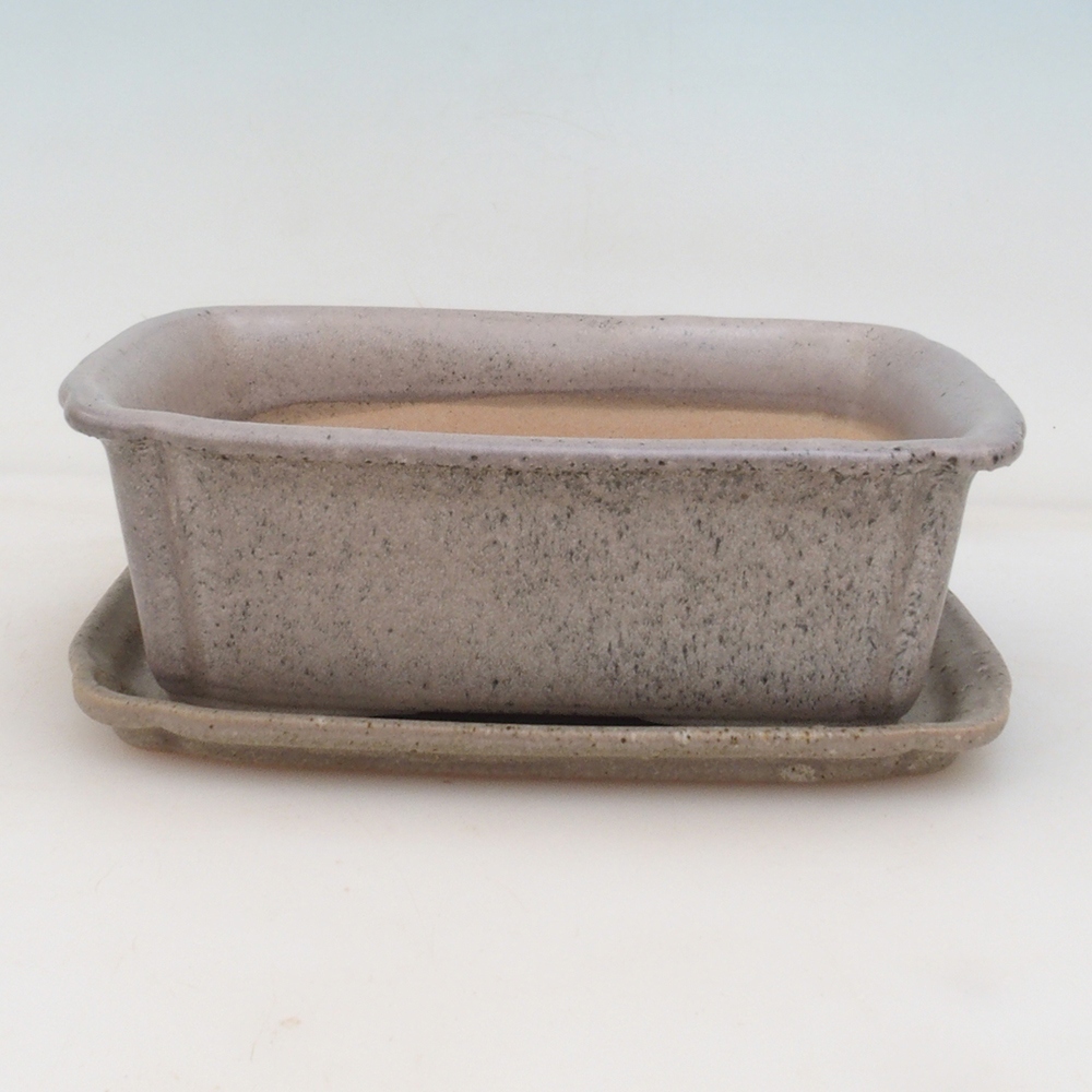 Bonsaischaal + schotel H50 - 17x12,5x5,5 cm