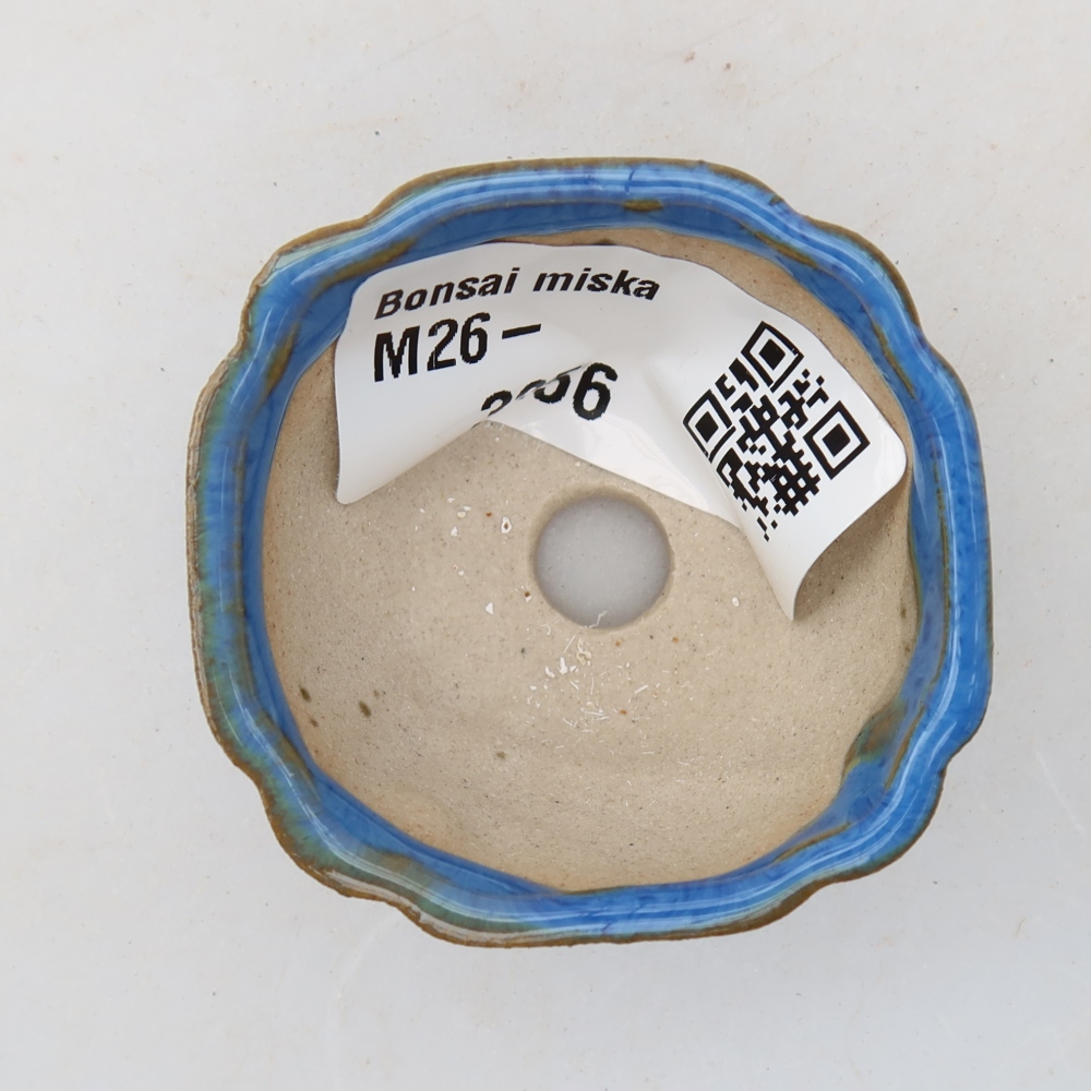 Bonsaischaaltje van keramiek 4,5 x 4,5 x 2,5 cm, kleur blauw