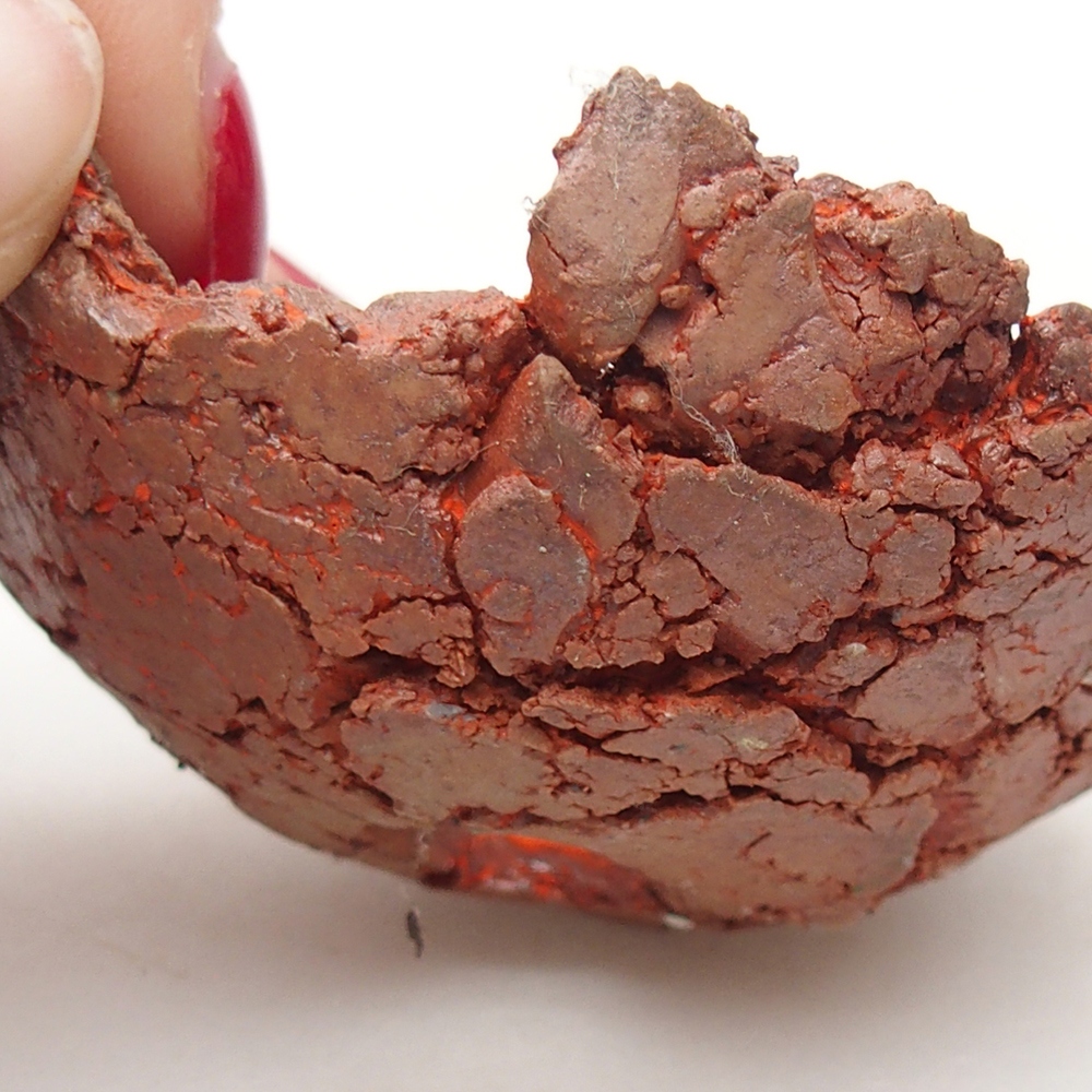 Schelp van keramiek 7 x 7 x 4 cm , kleur oranje