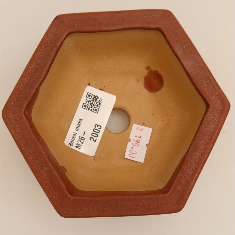 Keramische bonsaipot 12 x 10,5 x 4 cm, kleur bordeauxrood