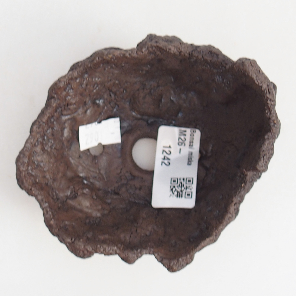 Keramisch Schelp 10 x 9 x 7,5 cm , kleur bruin