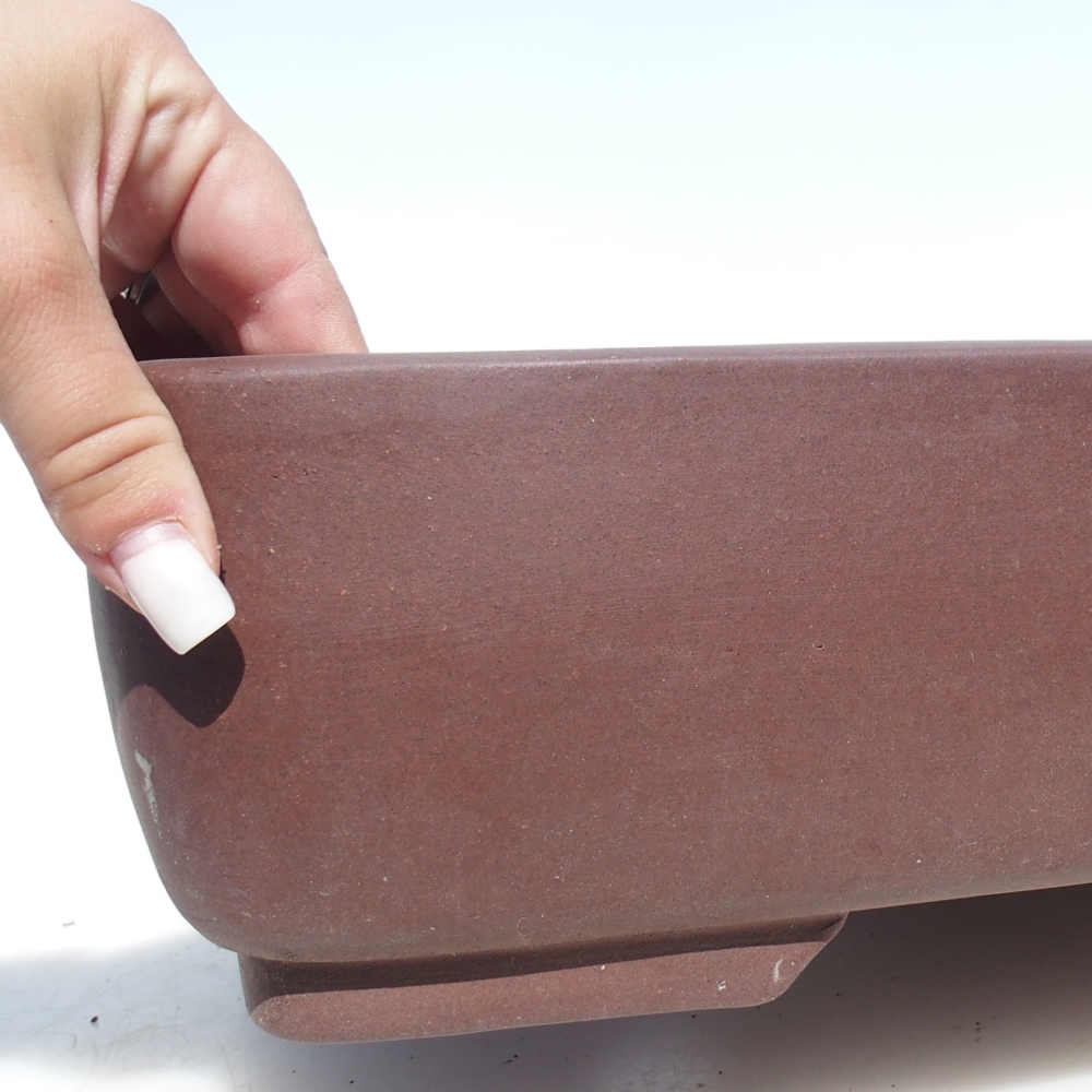 Bonsaischaal 49 x 37,5 x 11 cm - bruin